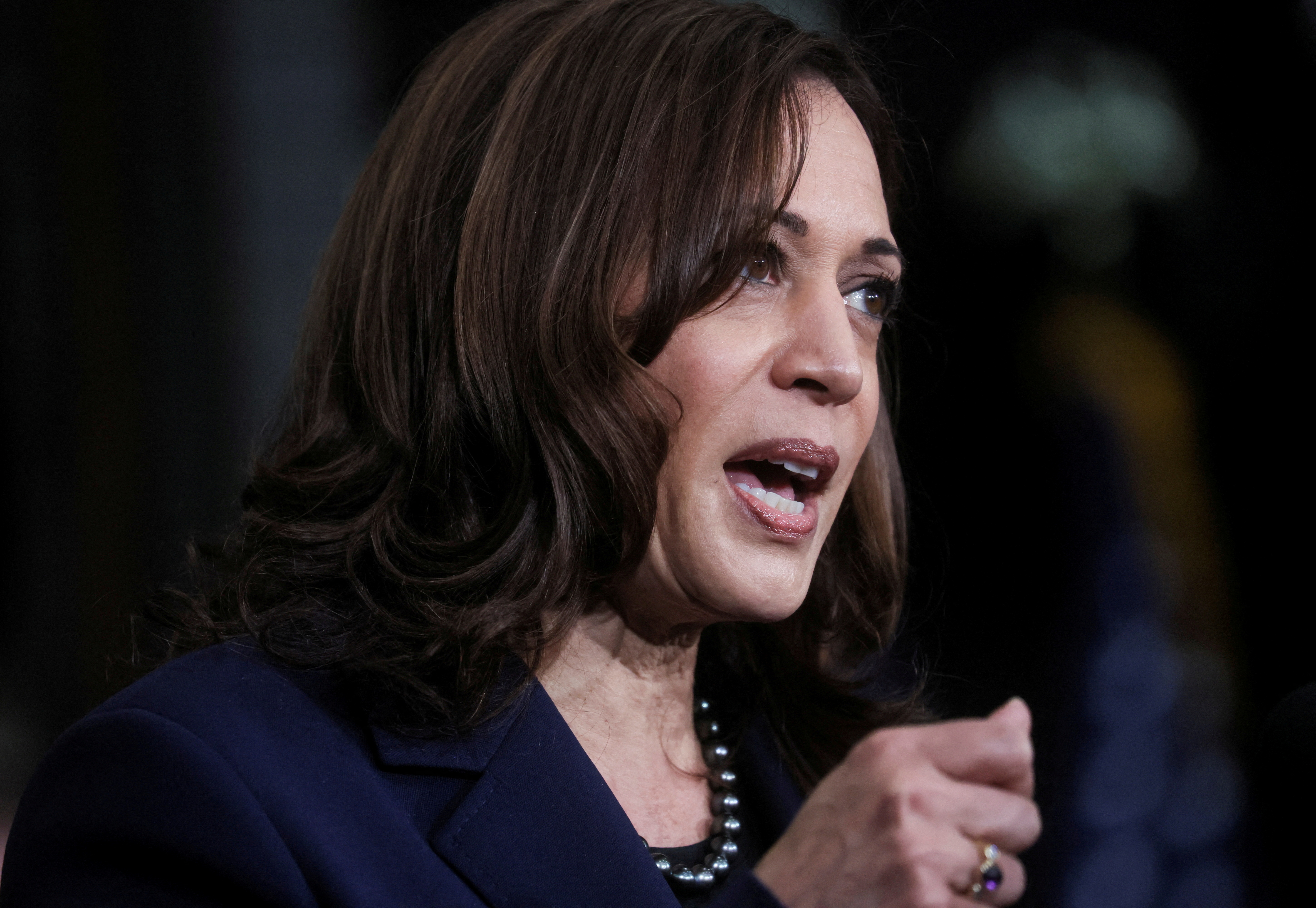 U.S. Vice President Kamala Harris speaks prior to President Joe Biden signing an executive order on federal construction project contracts and labor agreements during a visit to Ironworkers Local 5 in Upper Marlboro, Maryland, U.S., February 4, 2022. REUTERS/Leah Millis/File Photo/File Photo